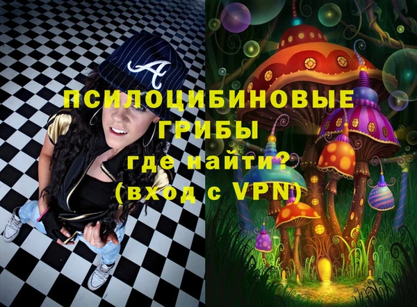 дживик Каменка