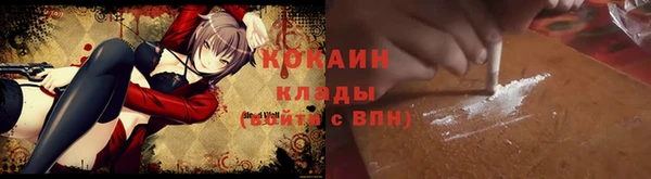 трава Каменногорск