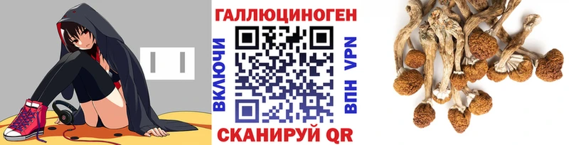 Псилоцибиновые грибы GOLDEN TEACHER  Истра 