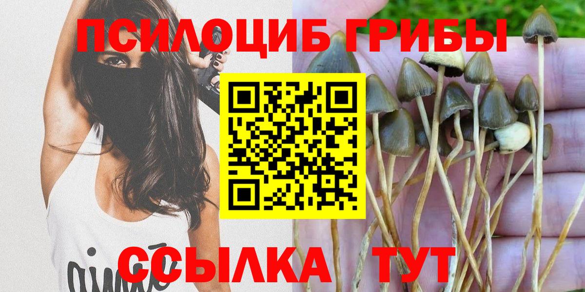 Псилоцибиновые грибы Magic Shrooms Истра