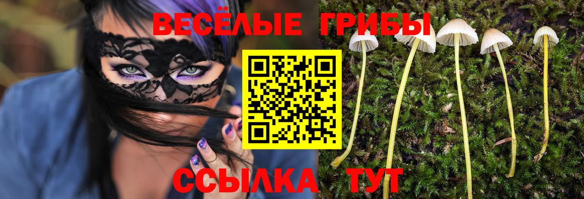 Галлюциногенные грибы Magic Shrooms  Галлюциногенные грибы GOLDEN TEACHER  Вход с VPN  Истра 